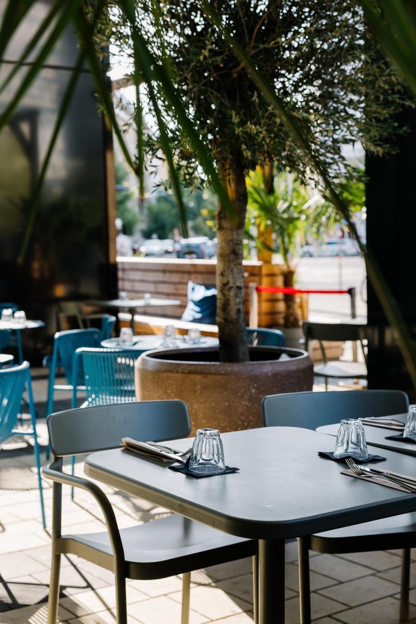 The Social Hub Extended 4* Viena